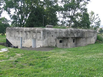 Schron‑Muzeum Linia Mołotowa Kaponiera 8813